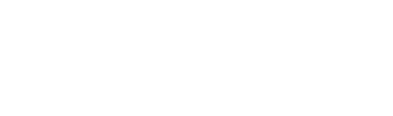CO_PILOT consulting